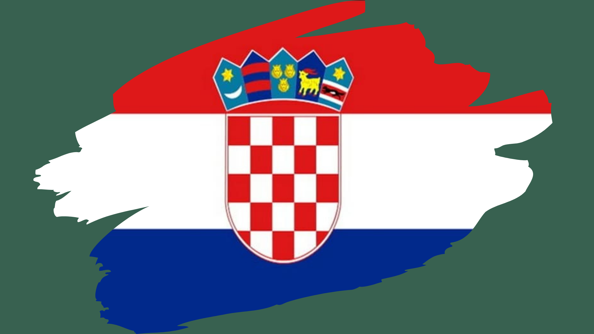 net iptv