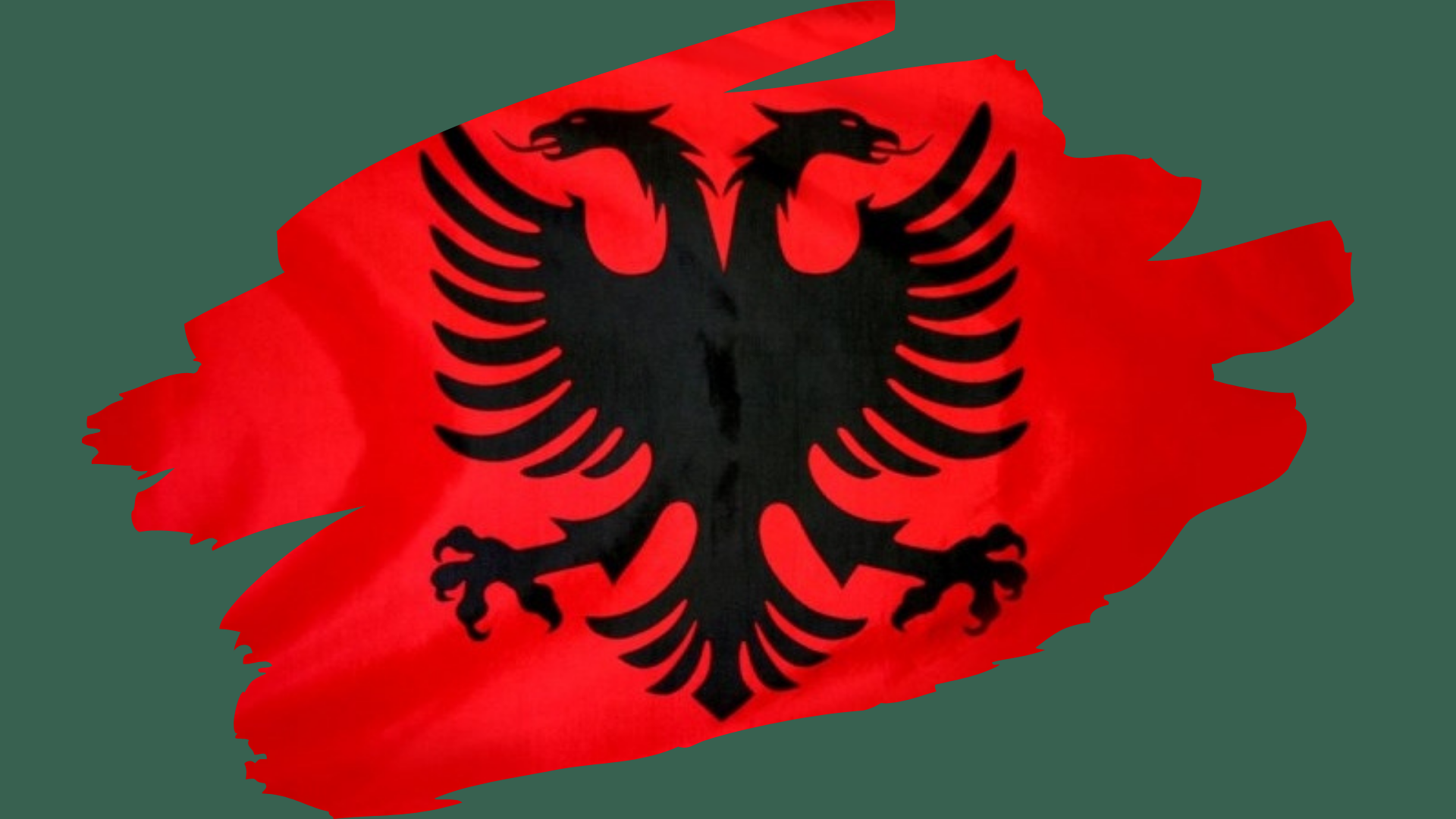 net iptv